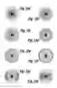 Fig. 12 - LITHOGRAPHIC APPARATUS AND METHOD
