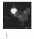 Fig. 14 - Multipoint method for identifying hazardous agents