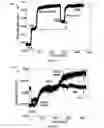 Fig. 09 - Sensing devices and techniques using 3-D arrays based on surface plasmon excitations