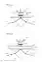 Fig. 04 - High sensitivity localized surface plasmon resonance sensor and sensor system using same