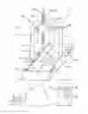 Fig. 01 - Coordinate measuring machine (CMM) and method of compensating errors in a CMM