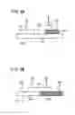 Fig. 10 - Print color predicting apparatus, print color predicting method, and recording medium