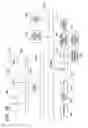 Fig. 13 - Image processing apparatus and computer readable medium