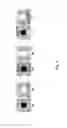 Fig. 05 - Display comprising an increased inter-pixel gap