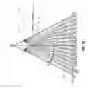 Fig. 13 - Geometrically and optically corrected parallax barrier providing autostereoscopic viewing of a display