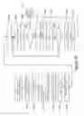 Fig. 17 - Non-periodic grating reflectors with focusing power and methods for fabricating the same
