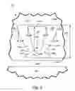 Fig. 06 - Shield with continuously concave inner sidewall