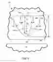 Fig. 07 - Shield with continuously concave inner sidewall