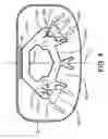 Fig. 06 - LED LIGHT SYSTEM