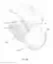 Fig. 03 - Thermal pointer