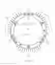 Fig. 13 - Lighting apparatus