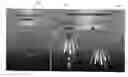 Fig. 01 - Multi frequency 2D phased array transducer