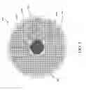 Fig. 04 - Multi frequency 2D phased array transducer