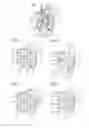 Fig. 05 - Calendar display device and calendar watch