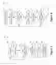 Fig. 09 - Home node identification, interference reduction, and energy savings