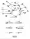 Fig. 09 - Improvements to body area networks