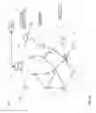 Fig. 59 - METHODS AND SYSTEMS FOR A MOBILE, BROADBAND, ROUTABLE INTERNET
