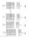 Fig. 35 - Unified vehicle network frame protocol
