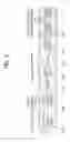 Fig. 04 - Method for transmitting control information and apparatus for same