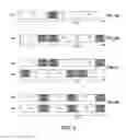 Fig. 03 - Direct communications in wireless networks