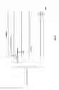 Fig. 03 - Radio communication device and response signal diffusion method