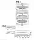 Fig. 05 - Method and apparatus for establishing metazones across dissimilar networks