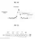 Fig. 45 - Digital broadcast system for transmitting/receiving digital broadcast data, and data processing method for use in the same