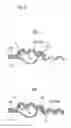 Fig. 07 - SPEAKER DAMPER AND SPEAKER DEVICE