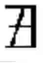 Fig. 03 - Two dimensional information symbol