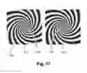 Fig. 19 - Two dimensional information symbol