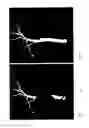 Fig. 08 - Methods and systems for pre-processing two-dimensional image files to be converted to three-dimensional image files