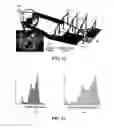 Fig. 08 - APPARATUS AND METHODS FOR ANALYSING GOODS PACKAGES