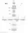 Fig. 03 - Online identity verification