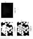 Fig. 06 - Teachable object contour mapping for biology image region partition