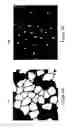 Fig. 09 - Teachable object contour mapping for biology image region partition