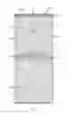 Fig. 01 - Combination Grocery/Receptacle Bag with Reinforced Bottom