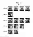 Fig. 07 - Automatic static video summarization
