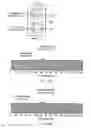 Fig. 06 - Novel RFoG CPE device offering enhanced services overlay