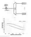 Fig. 02 -  OPTICAL SOURCE FOR WAVELENGTH DIVISION MULTIPLEXED OPTICAL NETWORK CAPABLE OF HIGH-SPEED TRANSMISSION OF AN OPTICAL SIGNAL BY USING UN-POLARIZED LIGHT SOURCE AND A WAVELENGTH DIVISION MULTIPLEXED-PASSIVE OPTICAL NETWORK HAVING THE SAME