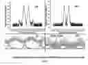 Fig. 01 - Method and apparatus for optical wireless architecture