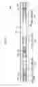 Fig. 07 - Detection apparatus and image forming apparatus