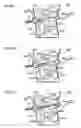 Fig. 10 - Detection apparatus and image forming apparatus