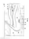 Fig. 06 - Protection system for articulated machine