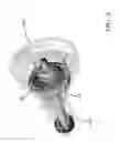 Fig. 05 - Mechanical seal with improved seal assembly