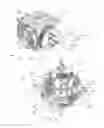 Fig. 03 - Radial Diaphragm Pump