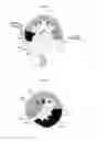 Fig. 04 - Refrigerant compressor