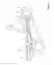 Fig. 02 - ENGINE COOLING SYSTEM