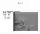 Fig. 05 - IRON-BASED SINTERED SLIDING MEMBER AND MANUFACTURING METHOD THEREOF