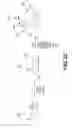 Fig. 24 - Click chemistry surface functionalization for resonant micro-cavity sensors