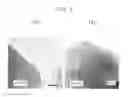 Fig. 04 - Exhaust gas purifying catalyst and production process thereof